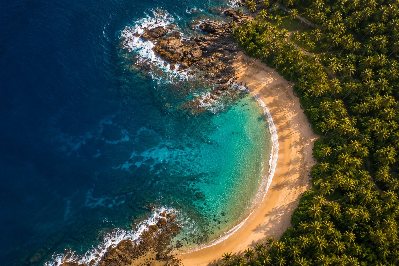Aerial view of a curving Sri Lankan coastline where deep blue ocean meets golden sand